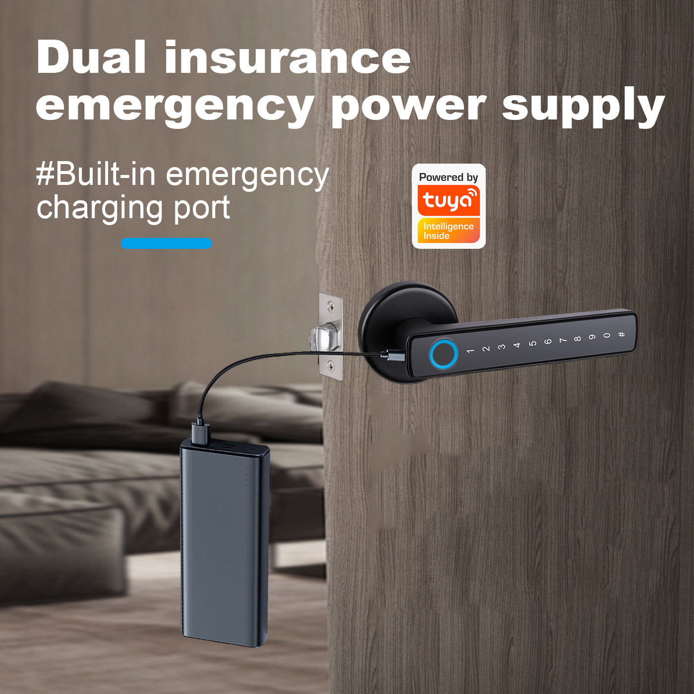Tuya Biometric Smart Door Lock with Electronic Fingerprint Handle, Split-Type Digital Keyless Lock