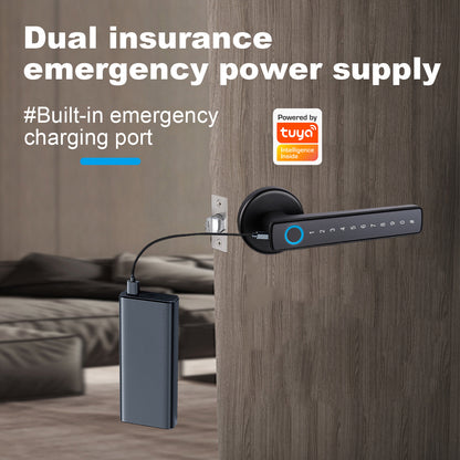 Tuya Biometric Smart Door Lock with Electronic Fingerprint Handle, Split-Type Digital Keyless Lock