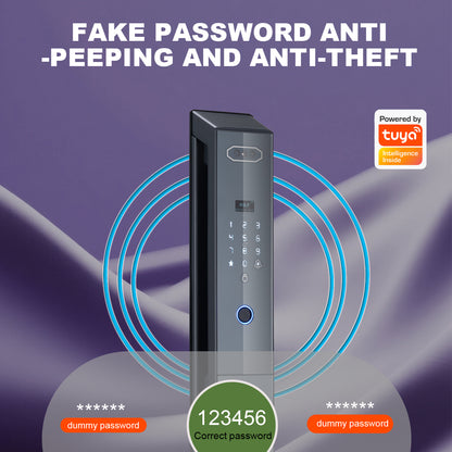 Fully automatic anti-theft graffiti 3D facial intelligent lock WiFi facial recognition camera visual intercom fingerprint lock