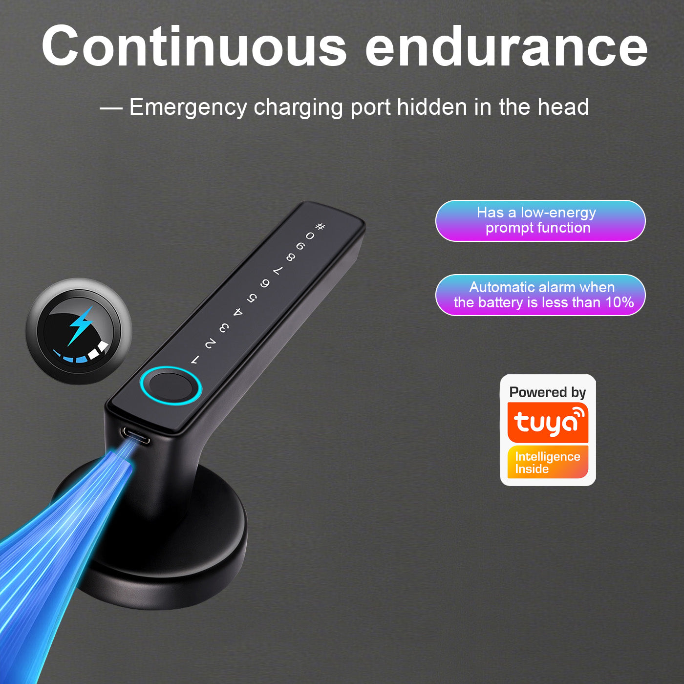 Tuya Biometric Smart Door Lock with Electronic Fingerprint Handle, Split-Type Digital Keyless Lock