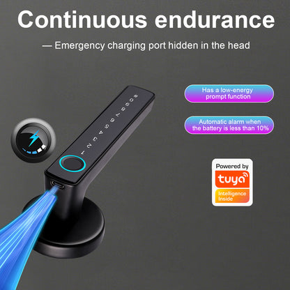 Tuya Biometric Smart Door Lock with Electronic Fingerprint Handle, Split-Type Digital Keyless Lock