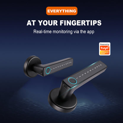 Tuya Biometric Smart Door Lock with Electronic Fingerprint Handle, Split-Type Digital Keyless Lock