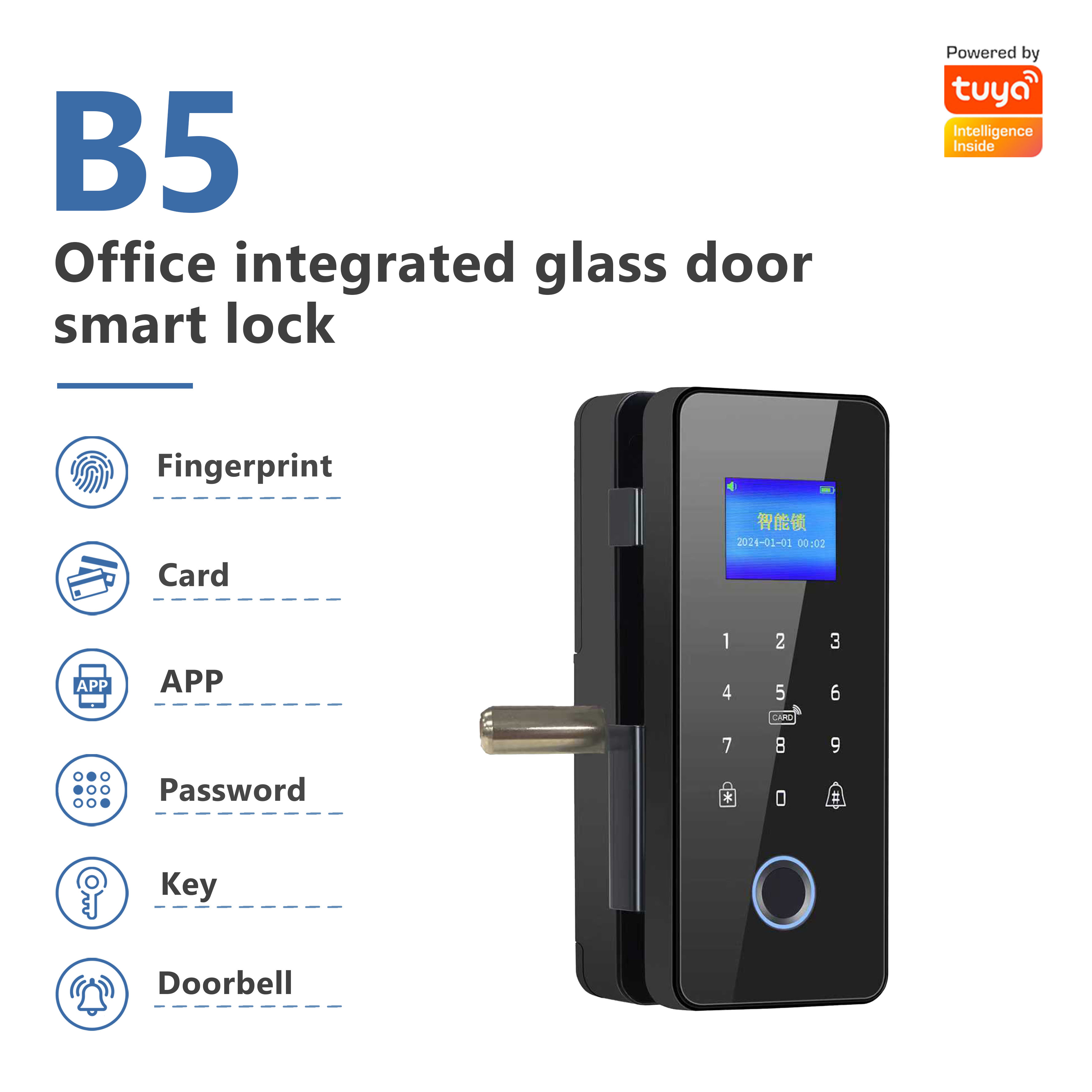 Model: B5 Office Integrated Glass Door Smart Lock