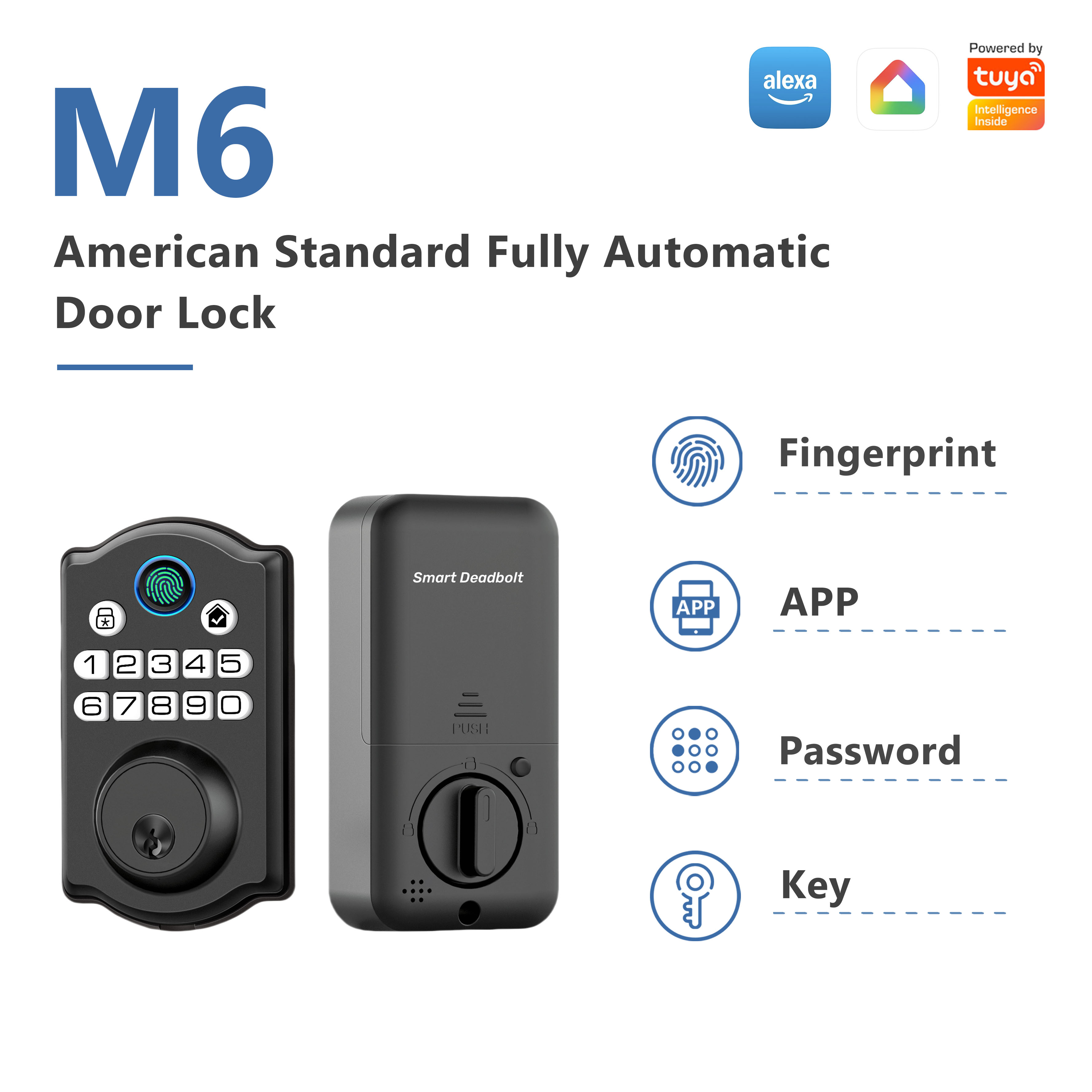 Model: M6 American Standard Fully Automatic Door Lock