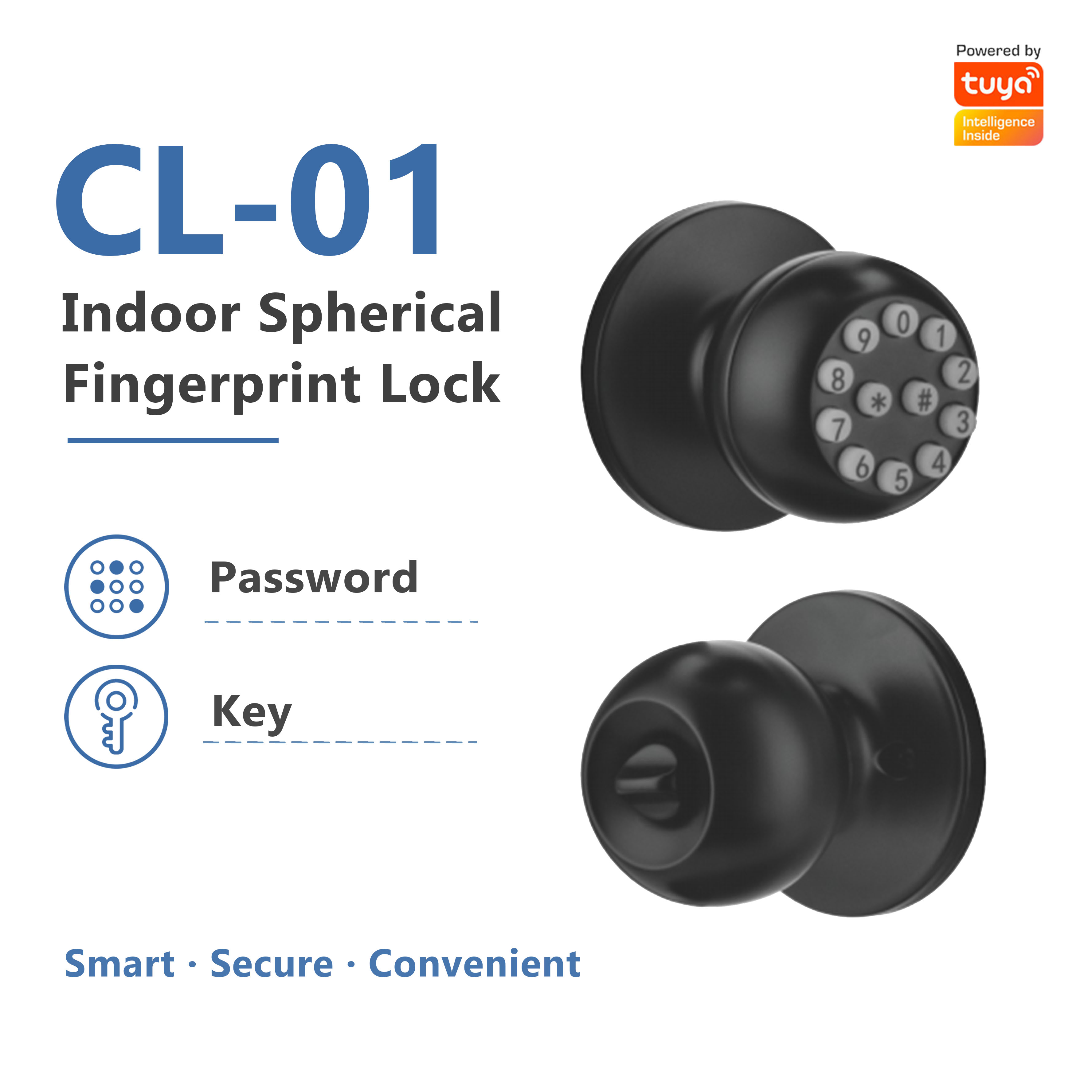 Model: CL-01 Password Spherical Door Lock