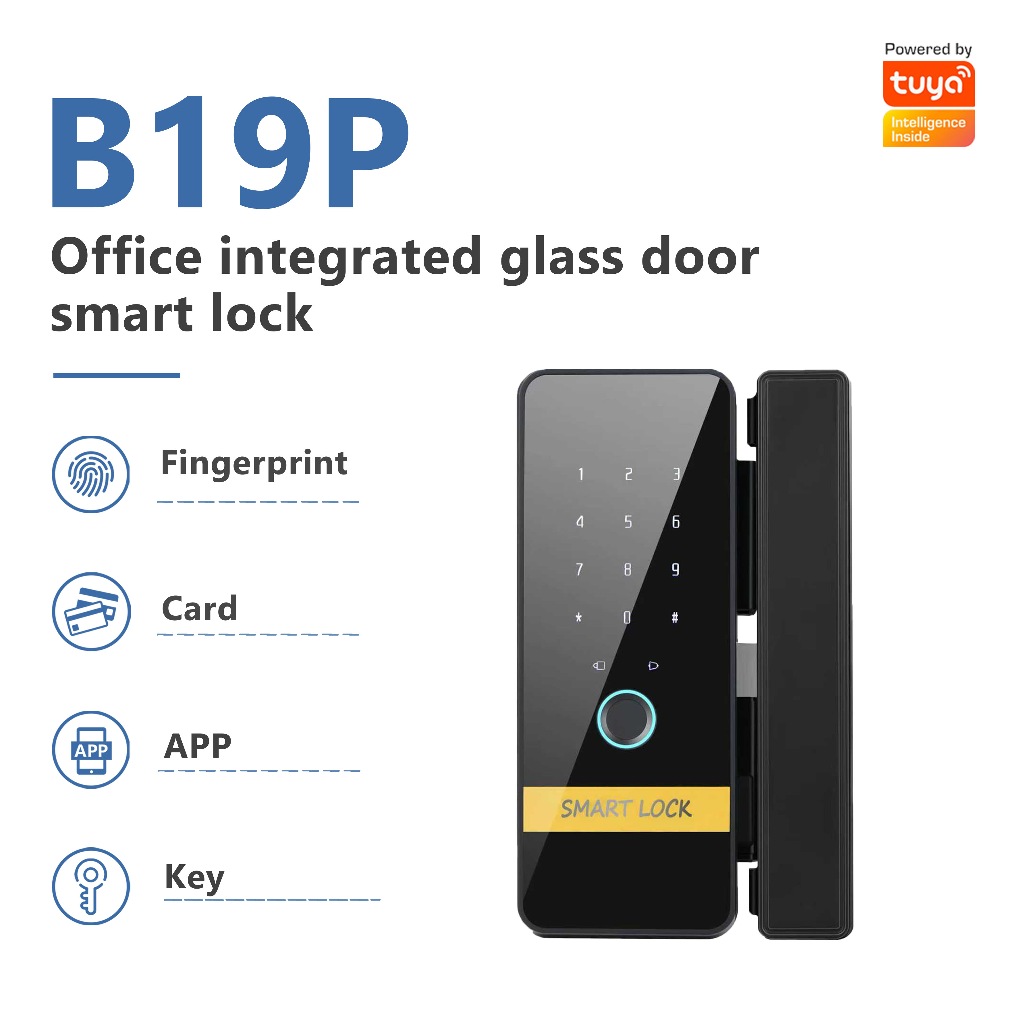 Model: B19P Office Integrated Glass Door Smart Lock