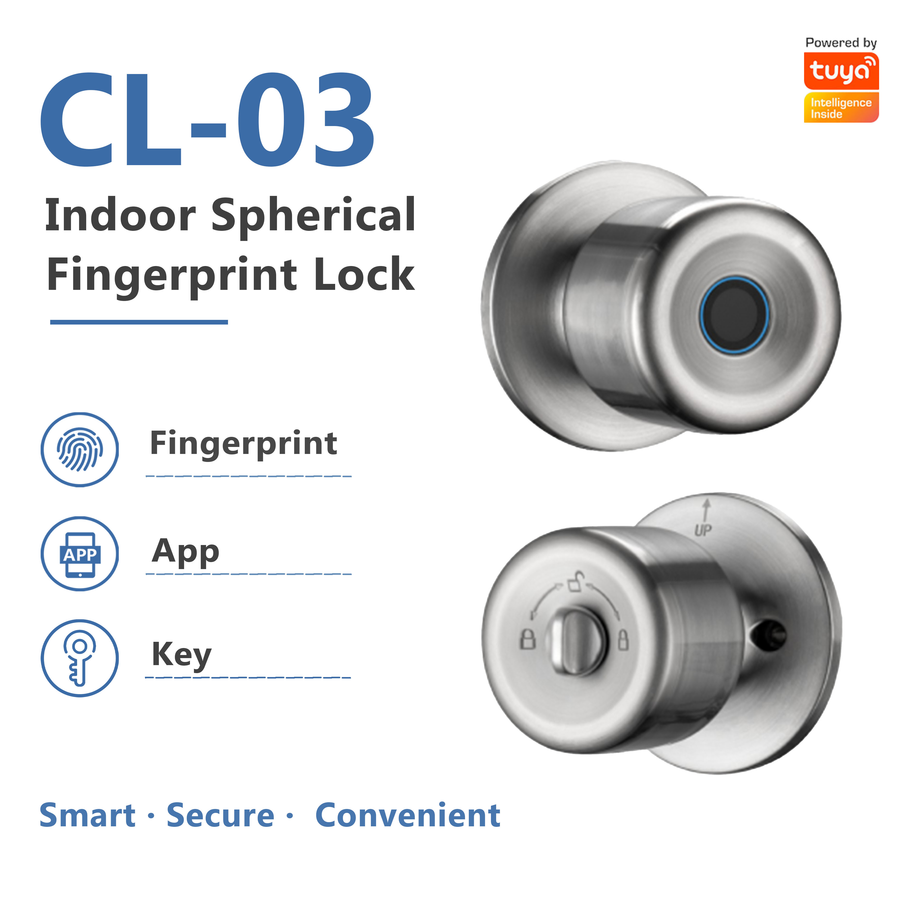 Model: CL-03 Stainless Steel Fingerprint Spherical Lock